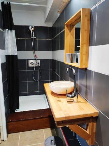 un baño con lavabo y ducha en L'Eucalyptus, en La Trinité