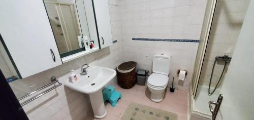 La salle de bains est pourvue d'un lavabo, de toilettes et d'une douche. dans l'établissement Ata, à Istanbul