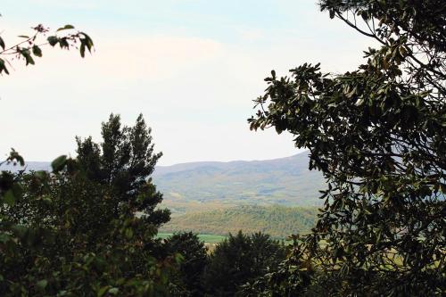 a view of a mountain range from behind some trees at il nuvoloso in Città della Pieve