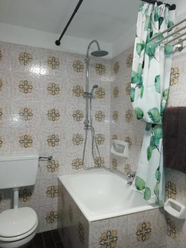 a bathroom with a tub and a toilet and a shower at Chalet Niki BELLAGIO in Bellagio