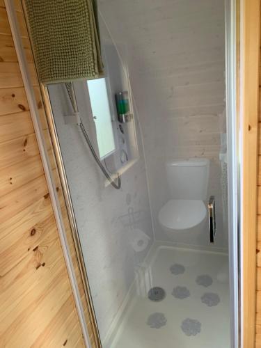 a bathroom with a shower with a toilet at Loch an Eilean Pod Isle of South Uist in Pollachar