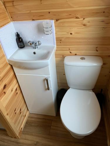 a bathroom with a toilet and a sink at Loch an Eilean Pod Isle of South Uist in Pollachar