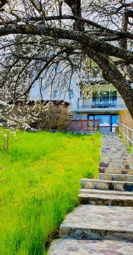 a stone path leading up to a building with a tree at Iepurasul Sinaia in Sinaia