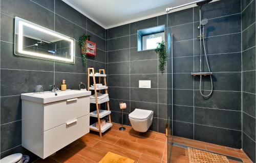 een badkamer met een toilet, een wastafel en een douche bij Lovely Home In Ferdinandovac With Jacuzzi in Ferdinandovac