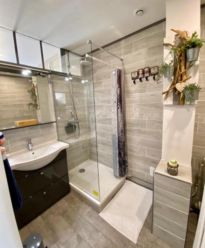 une salle de bain avec douche et lavabo dans l'établissement L’Escapade de Michel - Vue Mer - Élégant, à Dieppe