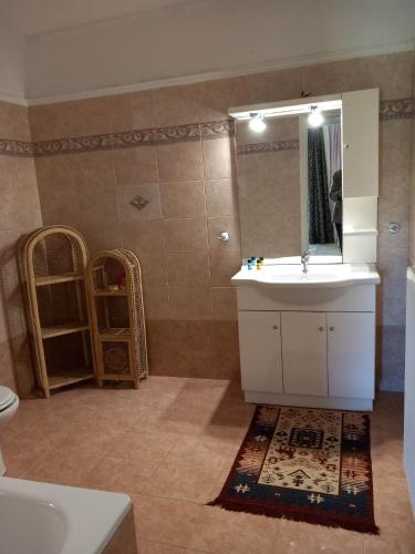 a bathroom with a white sink and a mirror at Elani house in Elani