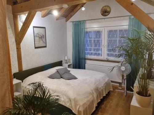 um quarto com uma cama com plantas e uma janela em Gemütliche Dachgeschosswohnung em Erfurt