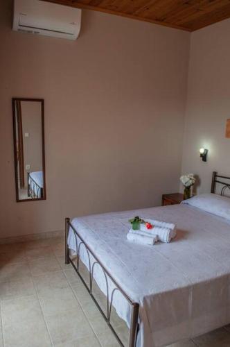 a bedroom with two beds and a mirror at Phyllida Guest House - M4 in Zakharo