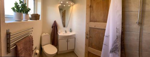 uma casa de banho com um WC, um lavatório e um espelho. em Værelse med eget køkken og bad em Esbjerg