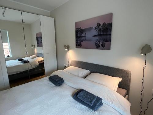 um quarto com uma cama e um espelho grande em Castle Hills Residence em Viljandi