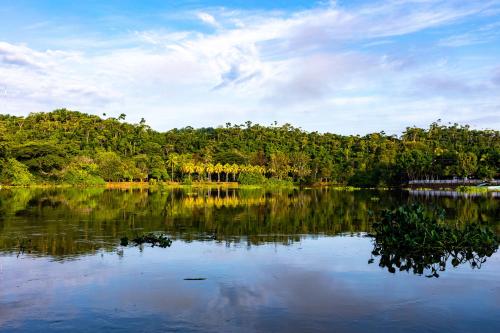 a body of water with trees in the background at Oso de Osa in Sierpe