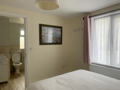 1 dormitorio con cama, aseo y ventana en Mary's of Mulranny, en Mulranny