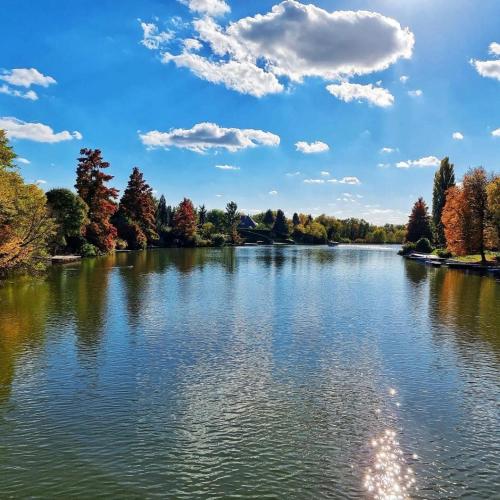 a view of a lake in the fall at Csuka48 Apartman in Szarvas