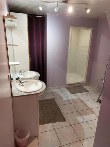 uma casa de banho com um lavatório e um chuveiro em maison individuelle au calme sur l'Aubrac em Recoules-dʼAubrac