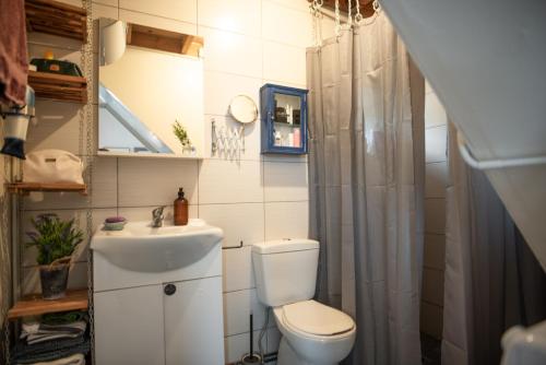 een kleine badkamer met een toilet en een wastafel bij Villa Appetite in Marmarion
