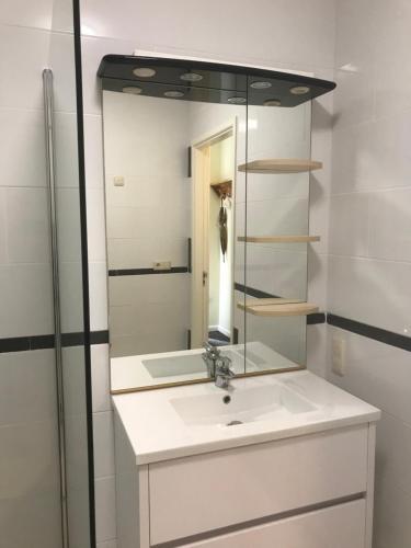 y baño con lavabo y espejo. en Appartement De Braam, en Emmer-Erfscheidenveen