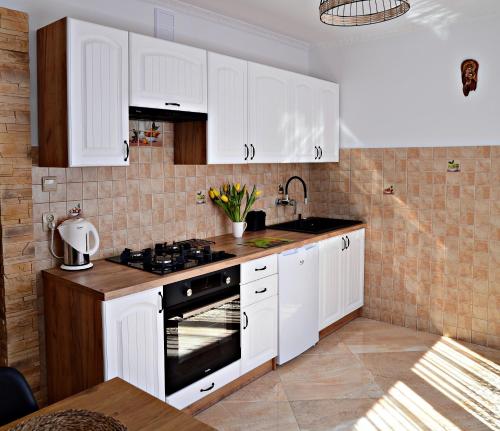 een keuken met witte kasten en een wastafel bij Apartamenty i Pokoje Gościnne nad Soliną Drozdówka in Solina