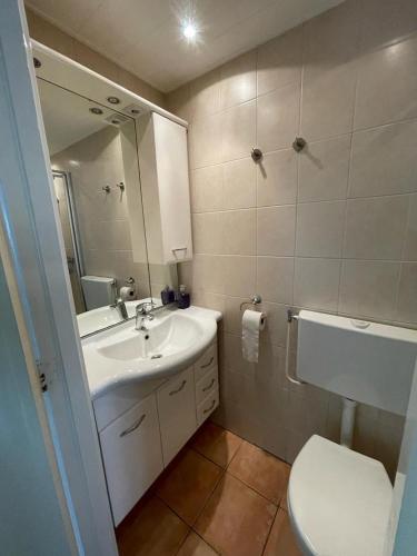 a bathroom with a sink and a toilet and a mirror at Vakantiehuisje Martina 17 in Vlissingen