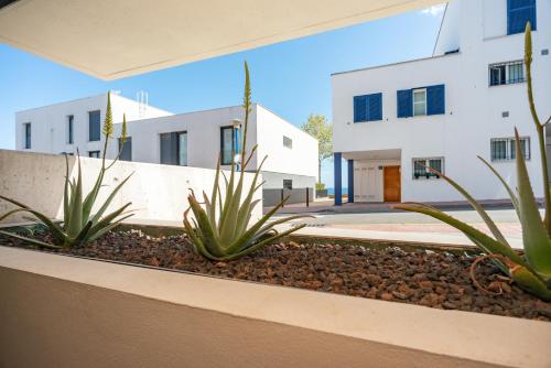 a row of white buildings with plants in a yard at Gran piso en Puerto deportivo Marina Palamós IDEAL FAMILIAS in Palamós
