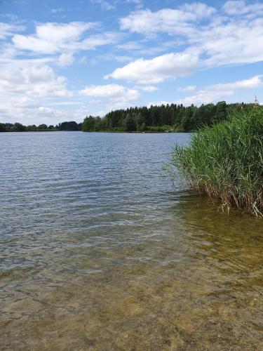 a large body of water with trees in the background at LAC ABANE AU LAC in Butgenbach