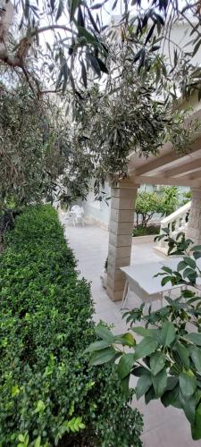 a park with a bench and some green bushes at Villa NIKA & KARLO Makarska in Makarska