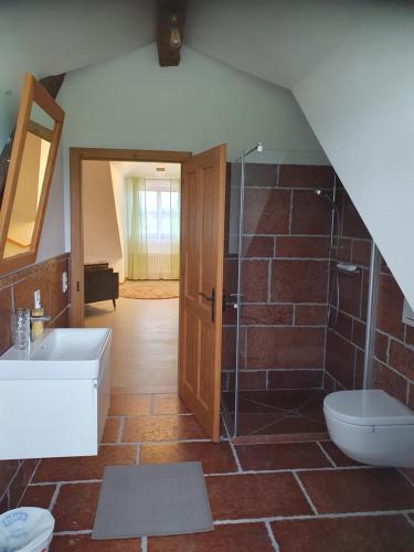 een badkamer met een wastafel, een douche en een toilet bij Gutshof Seenland in Seekirchen am Wallersee