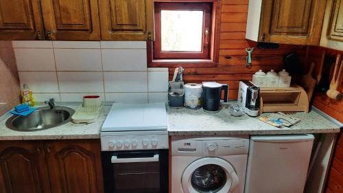 a kitchen with a sink and a washing machine at Vikendica Drinski LAD in Loznica