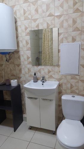 a bathroom with a toilet and a sink and a mirror at SKY&KTS Apartments in Boryspilʼ