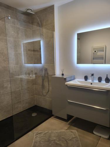 a bathroom with a sink and a shower at Maison de ville in Le Mans