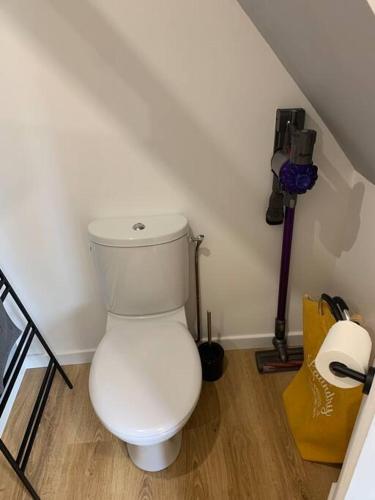 une salle de bain avec des toilettes blanches dans une chambre dans l'établissement Le séchoir de l’Aerostier, à La Roque-Gageac