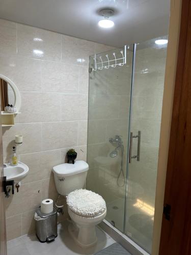 a bathroom with a toilet and a glass shower at Condo in Santiago De Los Caballeros in Santiago de los Caballeros