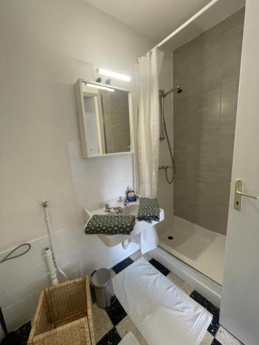 a bathroom with a sink and a shower at Appartement plein centre avec jardin in Saint-Tropez