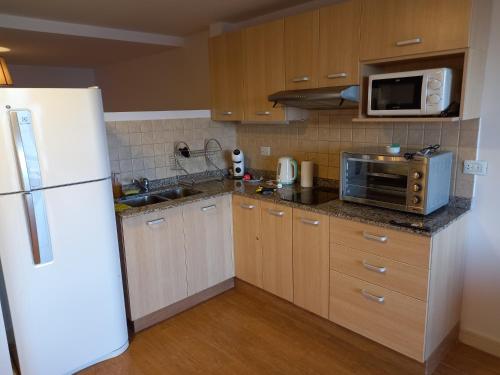 a kitchen with a white refrigerator and a microwave at Vista DAT in San Carlos de Bariloche