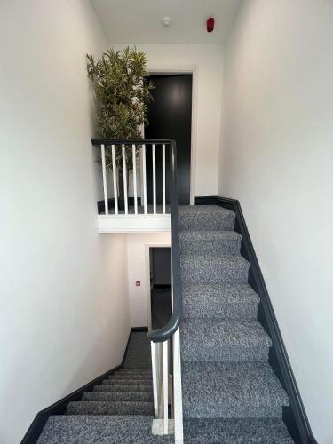 a stair case with a plant on the wall at Two Bedroom Apartment in Seacombe