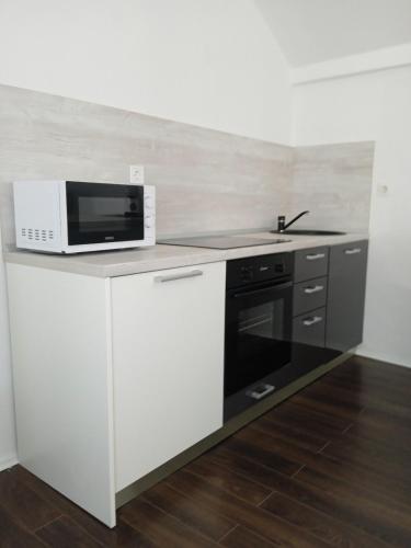 Kuchyň nebo kuchyňský kout v ubytování Apartment Helena