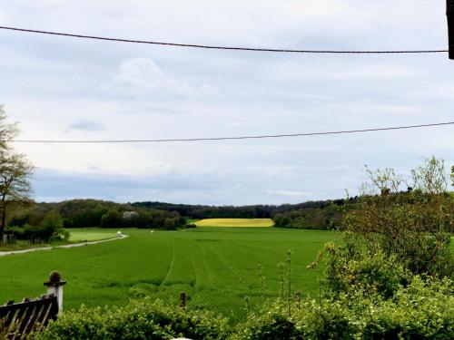 a field of green grass with a blue sky at Gîte du bout d'Auvers in Noisy-sur-École