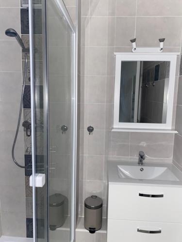 une salle de bain avec une douche, un lavabo et un miroir dans l'établissement VILLAGE DE LA MER, à La Londe-les-Maures