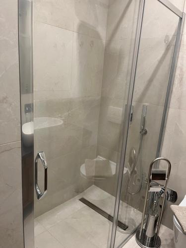 een douche met een glazen deur in de badkamer bij Sveti Stefan in Belgrado