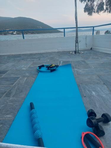 a blue swimming pool with a surfboard and dumbles at Vitamin Sea house in Panayía