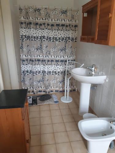 une salle de bain avec un lavabo et un rideau de douche dans l'établissement Grand appartement en location Dans maison de caractère 90 m2, à Pompidou