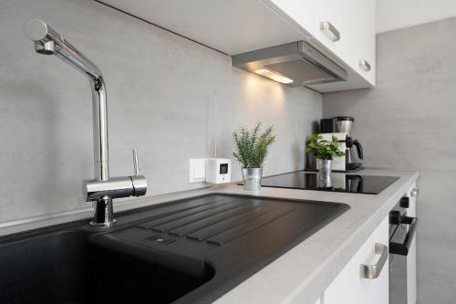 een keuken met een zwarte wastafel in een keuken bij Apartmenthaus Tiemann Wohnung 3 in Kellenhusen