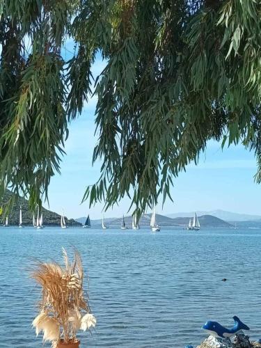 a view of a body of water with sailboats at Vιtamin Sea apartment 8, Απολαυστική διαμονή στον Αλμυροπόταμο! in Almiropótamos