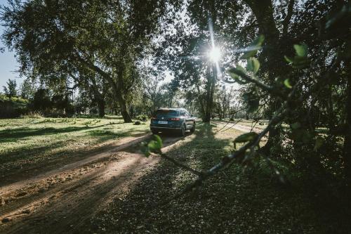 a blue car driving down a dirt road at Ferme au cœur la Forêt de Maamoura - Près de Rabat in Rabat