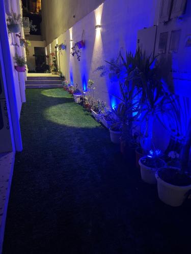 a hallway with potted plants and blue lights at ليلك lilac in Abha