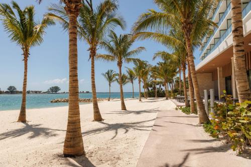 a beach with palm trees next to a building at JW Marriott Clearwater Beach Resort & Spa in Clearwater Beach