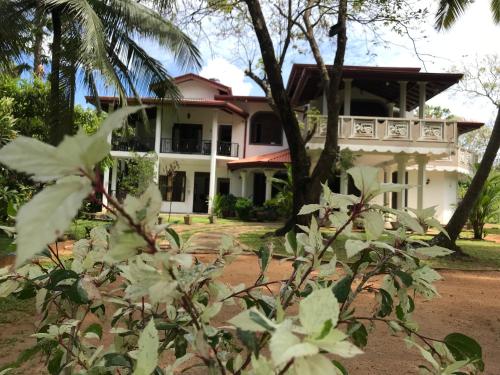 a white house with a tree in front of it at Green Edge Residences in Dambulla
