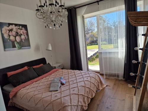 ein Schlafzimmer mit einem Bett und einem großen Fenster in der Unterkunft Sunny family terrace in Riga