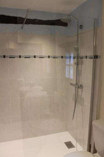 La salle de bains est pourvue d'une douche en verre et de toilettes. dans l'établissement Le Cireysou - Secluded farmhouse with large private pool and grounds, à Saint-Germain-et-Mons