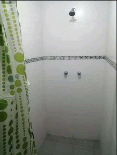 a bathroom with a shower with a shower curtain at Sumita Wasi Puno Home in Puno