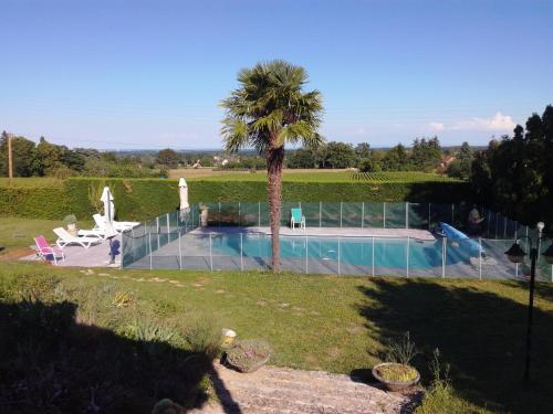 a palm tree and a swimming pool in a yard at La Petite Maison in Givry